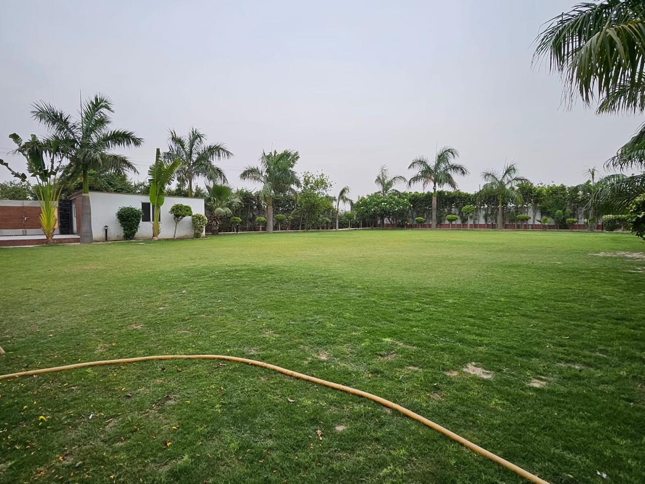 Manasvi Farms — photo 21